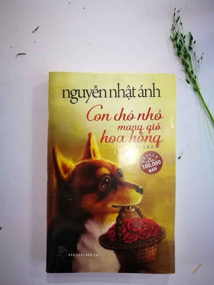 Con chó nhỏ mang giỏ hoa hồng