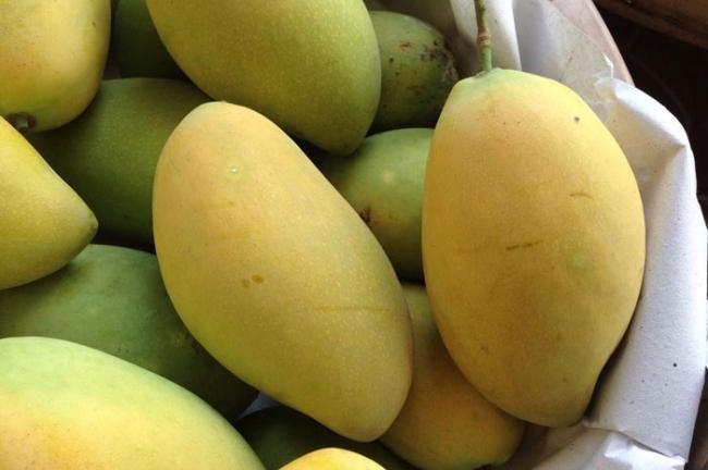 Xoài cung cấp nhiều chất dinh dưỡng cho cơ thể