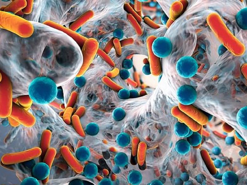 Sản phẩm có tác dụng tiêu diệt vi khuẩn