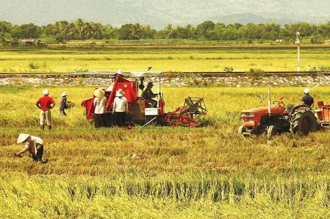 Cổng thông tin điện tử Bộ Nông Nghiệp