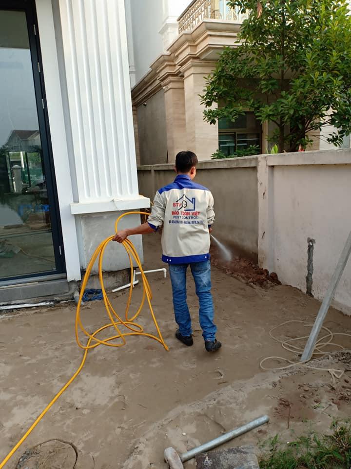 Diệt mối Bảo Toàn Việt