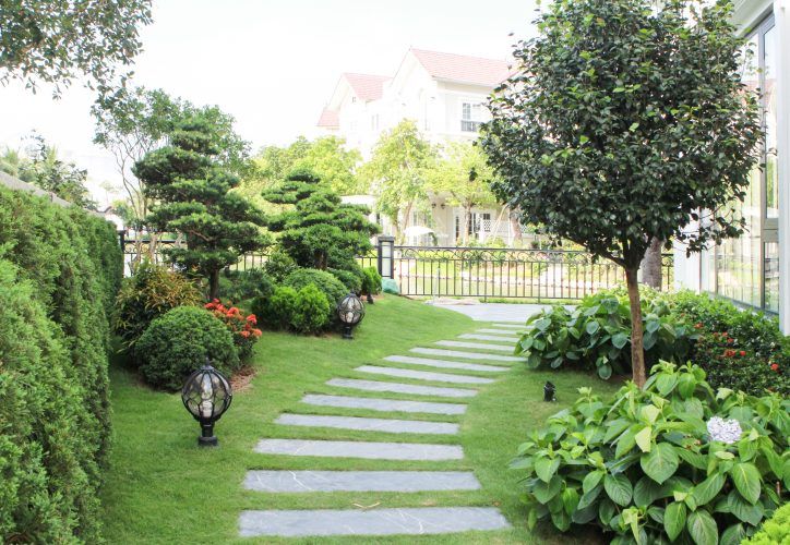 Công ty cây xanh Trần Cường