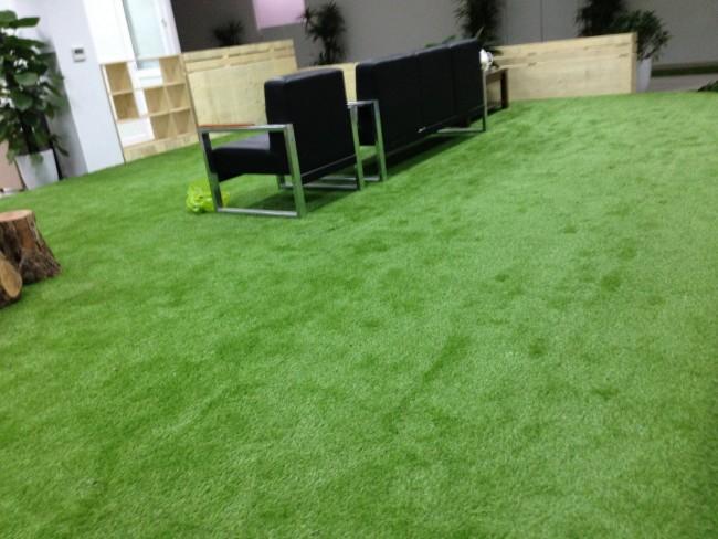 AFD Grass Việt Nam