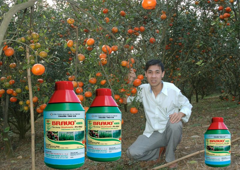 Công ty Cổ phần Bảo vệ Thực vật 1 Trung Ương