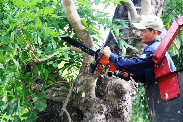 Công ty Cổ phần Đầu tư và Phát triển Môi Trường Đô Thị