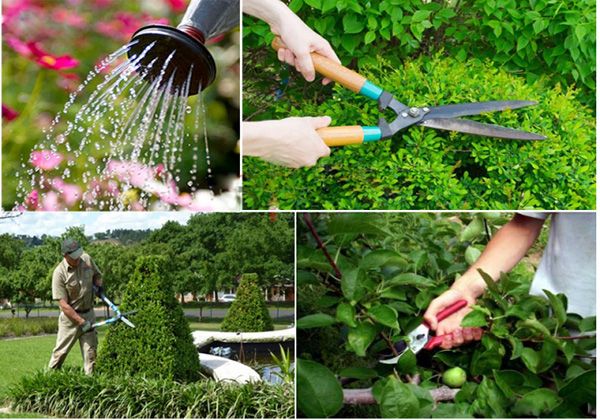 Công ty Cổ phần Đầu tư và Phát triển Môi Trường Đô Thị