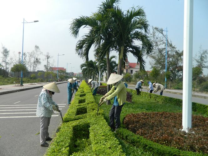 Công ty cổ phần đầu tư xây dựng và môi trường Vinatrees