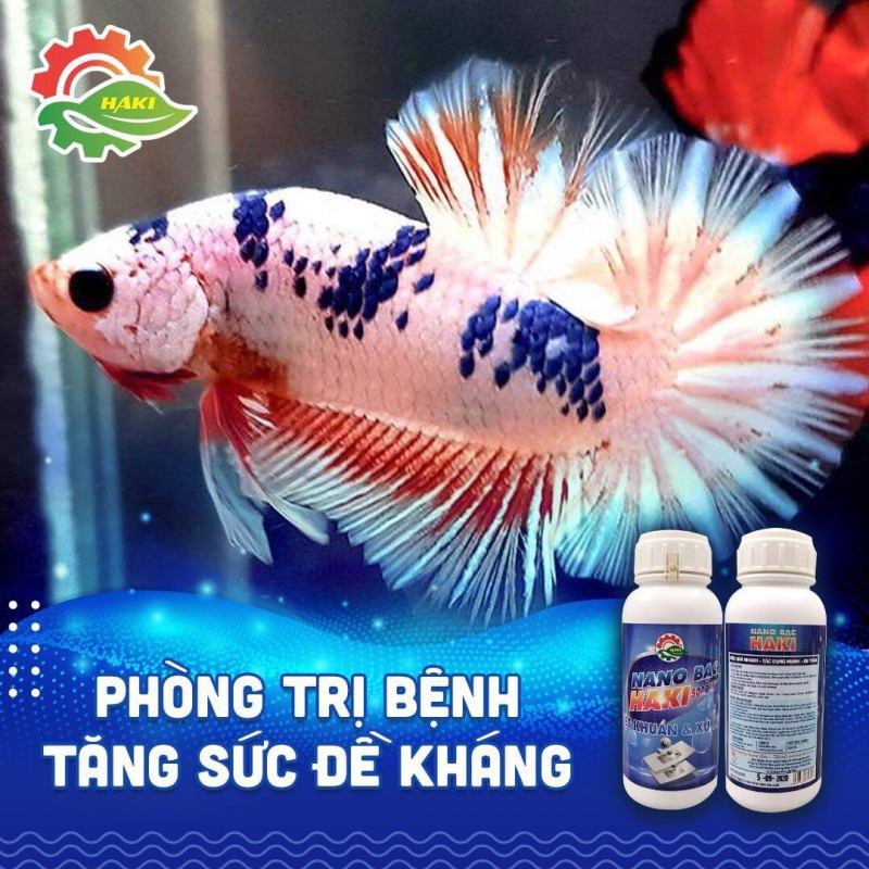 Công ty Cổ phần Gold Reon