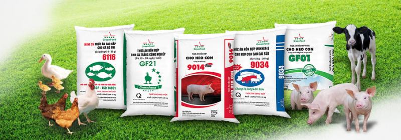 Công ty cổ phần Greenfeed Việt Nam – CN Bình Định