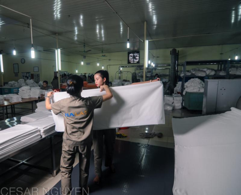 Công ty cổ phần Halas Việt Nam