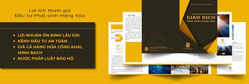 Công ty Cổ phần Hitech Finance