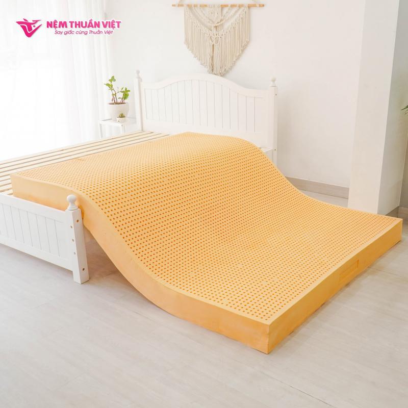 Công ty cổ phần Nệm Thuần Việt