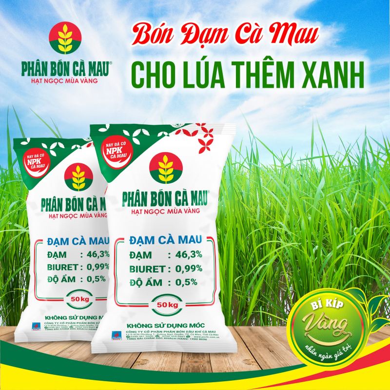 Công ty cổ phần Phân bón Dầu khí Cà Mau (PVCFC)