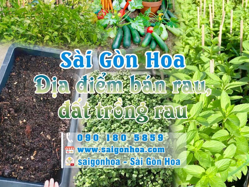 Công ty cổ phần Sài Gòn Hoa
