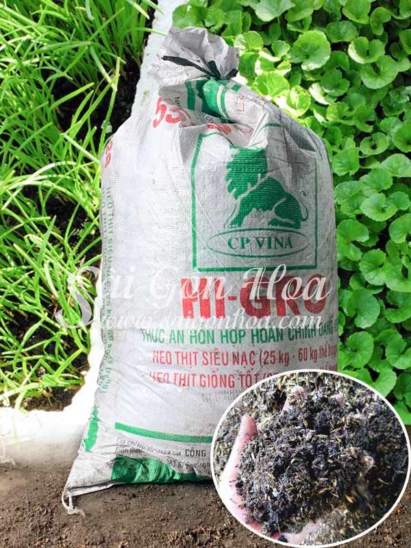 Công ty Cổ phần Sài Gòn Hoa