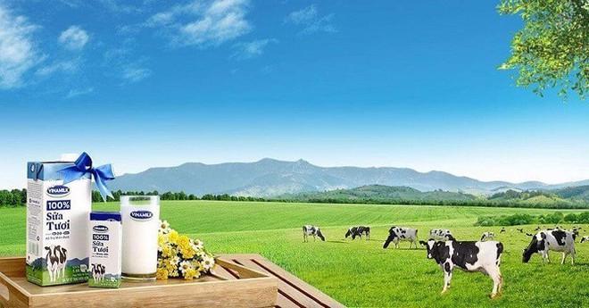Sản phẩm của Công ty Cổ phần Sữa Việt Nam - Vinamilk
