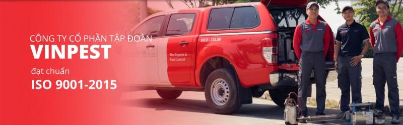 Diệt Mối VinPest – Công ty cổ Phần Tập Đoàn VinPest (VinPest Group)