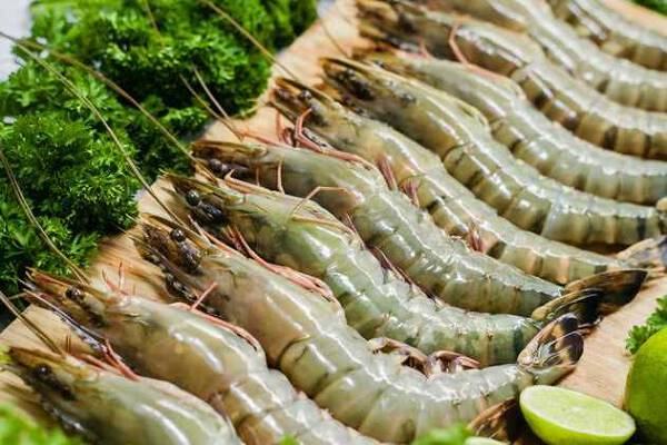 Công ty cổ phần thực phẩm Sao Ta