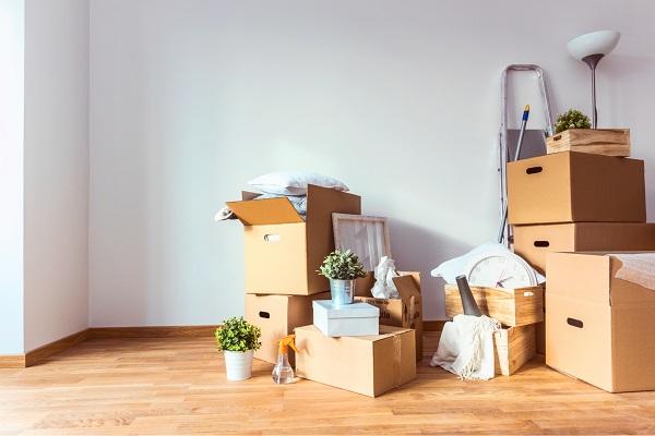 Công Ty Cổ Phần Tư Vấn & Phát Triển Đại Lộc Phát