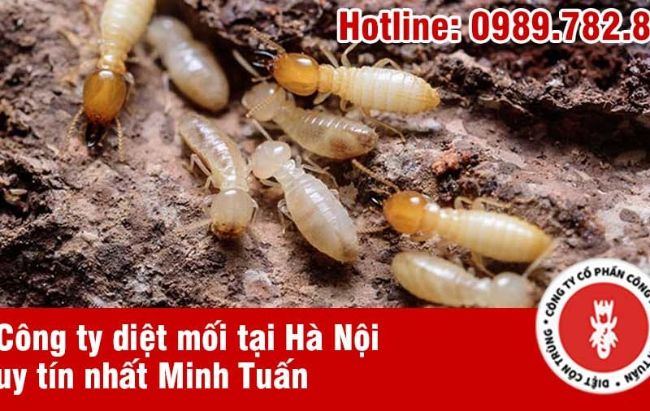 Công ty CP công nghệ Minh Tuấn