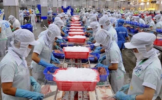 Công ty cổ phần Nam Việt