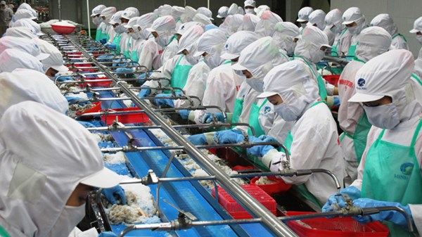 Công ty cổ phần tập đoàn thuỷ sản Minh Phú