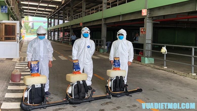 Công Ty TNHH Trừ Mối Đại Việt