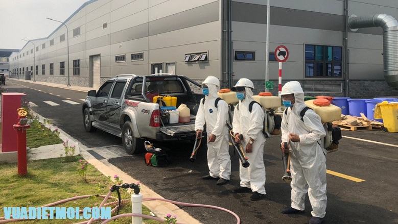 Công Ty TNHH Trừ Mối Đại Việt