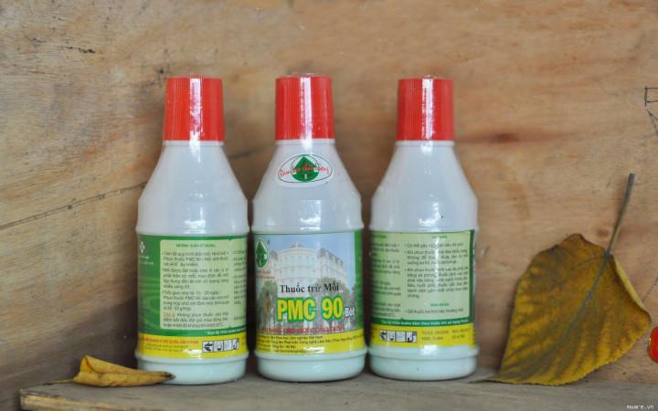 Dịch Vụ An Sinh