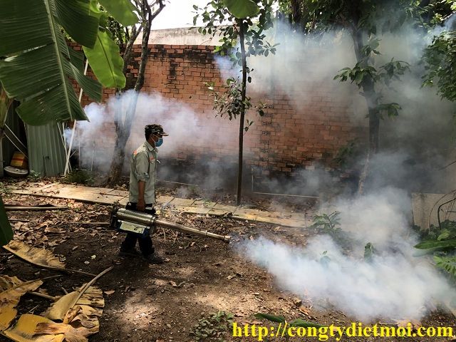 Các kỹ sư thực hiện dịch vụ được đào tạo bài bản, thường xuyên được tập huấn, việc thực hiện dịch vụ nhanh gon, chuyên nghiệp hòa nhã, nhiệt tình