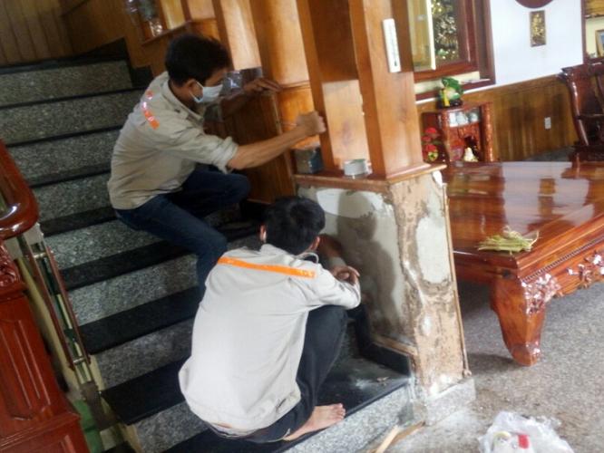 Công ty diệt mối Trần Đăng