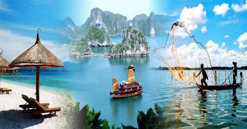 Công ty du lịch Hàm Rồng
