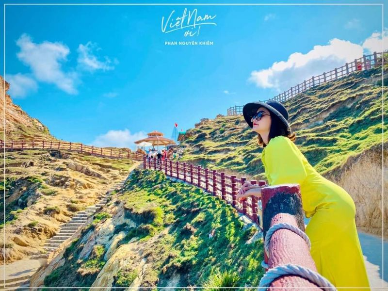 Công Ty Du Lịch Việt Holiday
