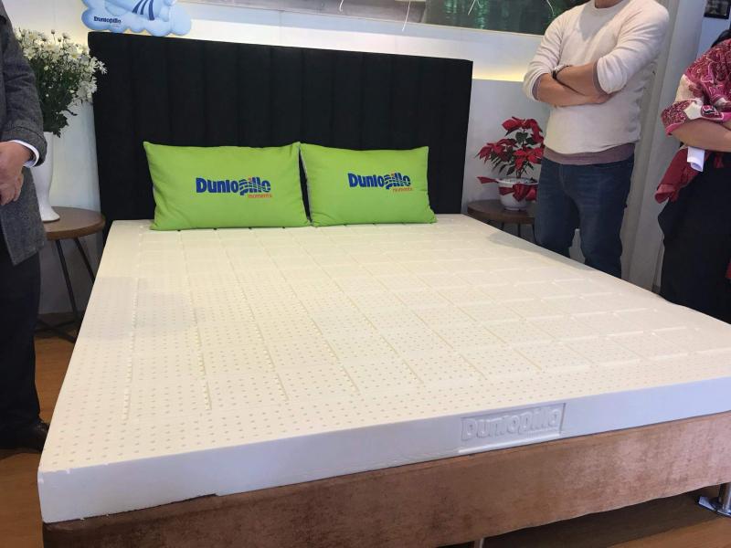 Công ty Dunlopillo