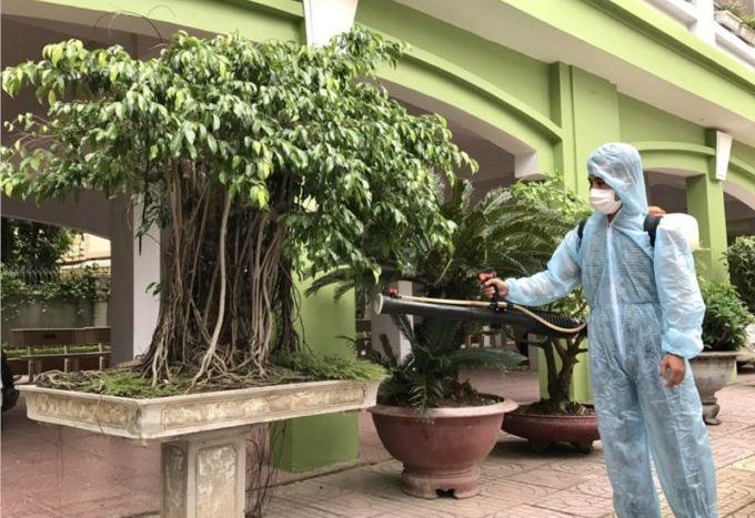 Công ty TNHH Trừ Mối Đại Việt