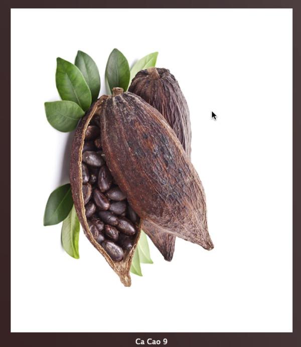 Cacao 9