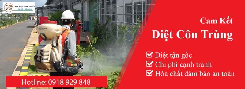 Công ty phun thuốc diệt muỗi hiệu quả Đại Việ