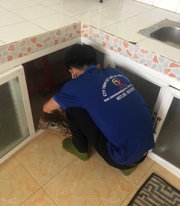 Công ty diệt mối Tâm Phát