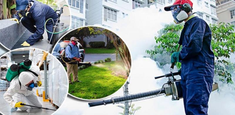 Phương pháp phun thuốc diệt kiến Công ty Tân Nguyên, kiểm soát, tiêu diệt kiến ba khoang, kiến vàng, kiến lửa, kiến đen, … các loài kiến gây hại, xâm nhập vào thực phẩm, thức ăn của con ngườ