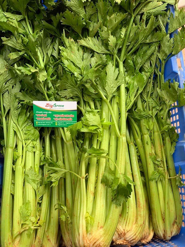 BigGreen Việt Nam