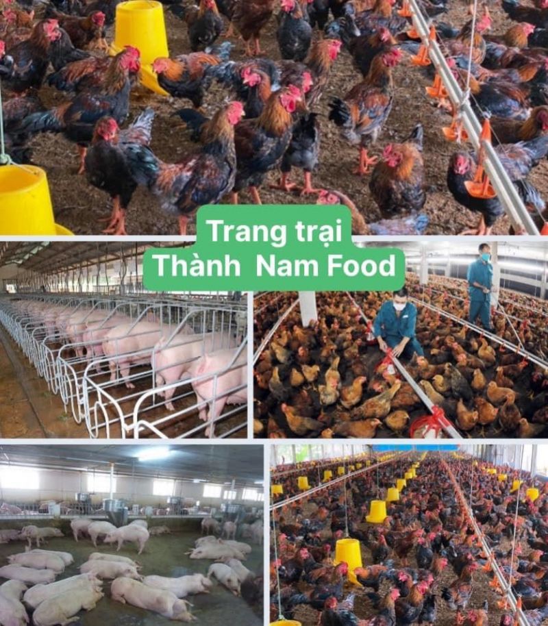 Công ty Thực Phẩm Thành Nam Food