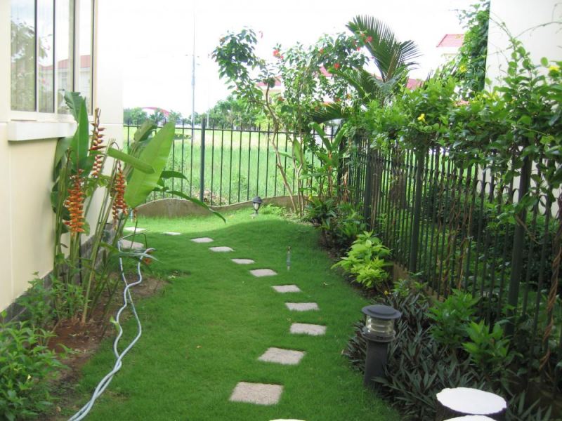 Công ty cây xanh Đức Lộc