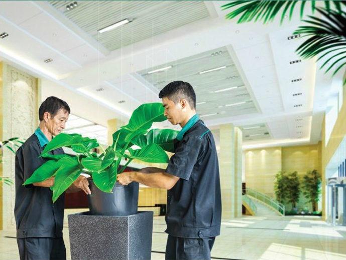 Công ty TNHH Cảnh quan Đại Phú
