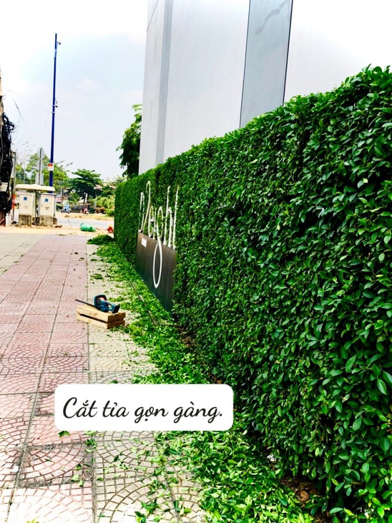 Công ty TNHH Cảnh quan Trịnh Thập