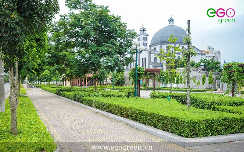 Công ty TNHH cảnh quan xanh Ego Việt Nam