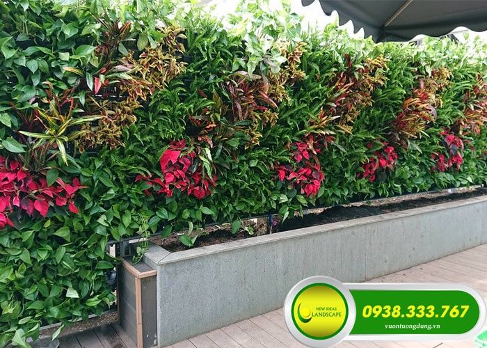 Công ty TNHH cảnh quan Ý Tưởng Mới