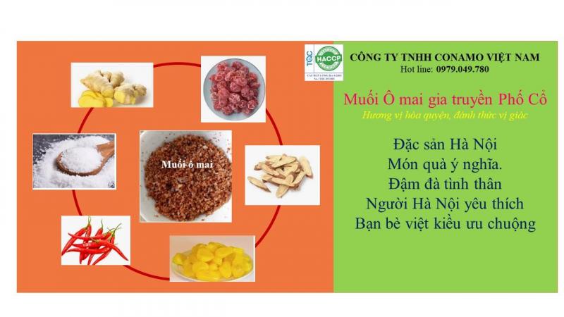 Công ty TNHH Conamo Việt Nam