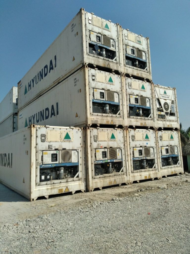 Sao Biển Container