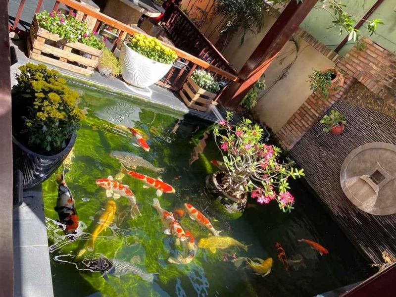 Công ty TNHH Đăng Khoa Garden