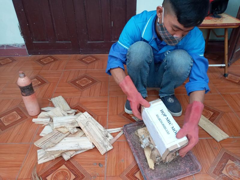 Công ty TNHH Diệt Côn Trùng Vĩnh Phúc
